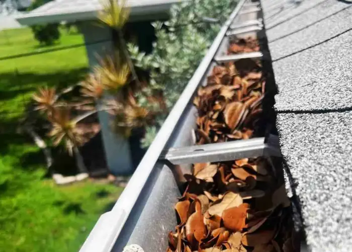 Princeton gutter cleaning home page